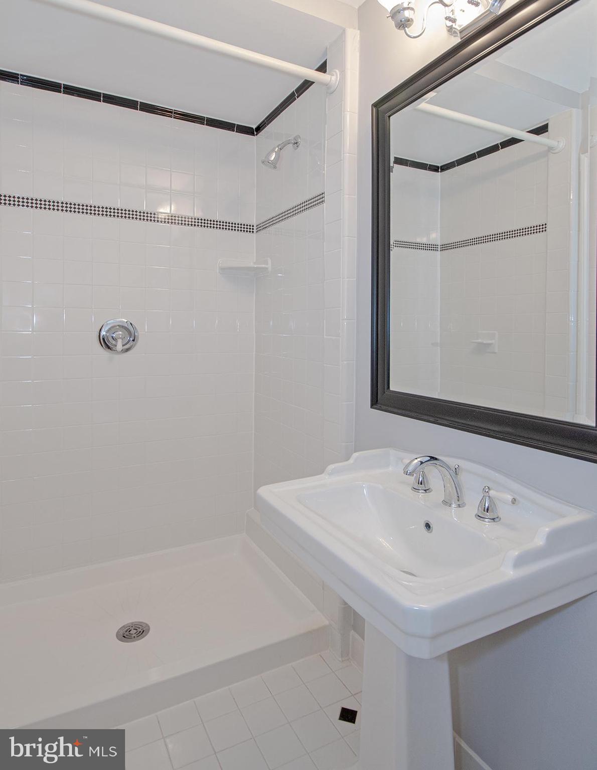 1319 Aldbury Way Reston, VA 20194 - Photo 68 of 78 lower level full bath