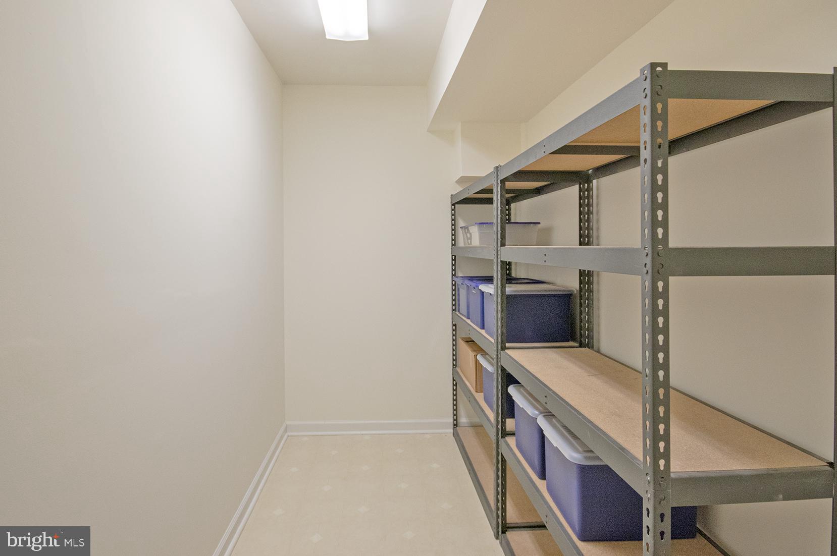1319 Aldbury Way Reston, VA 20194 - Photo 70 of 78 great lower level storage