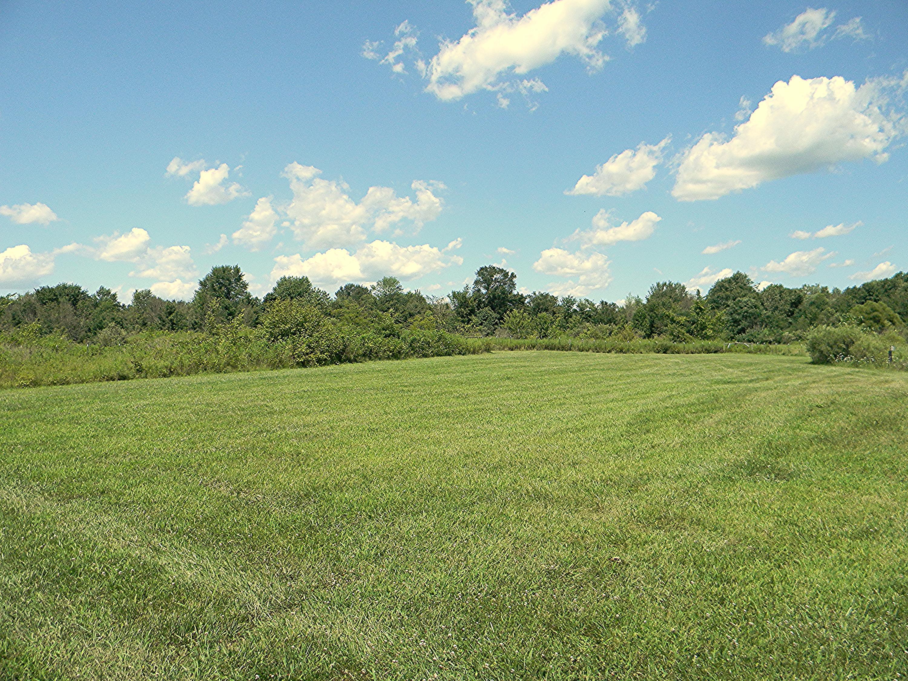 256 Downing Road Delaware, OH 43015 - Photo 8 of 40