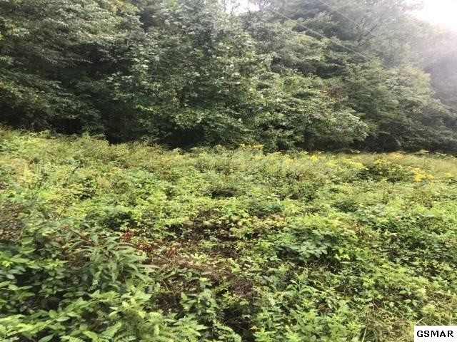 7 Bench Mountain Way Sevierville, TN 37862 - Photo 1 of 6