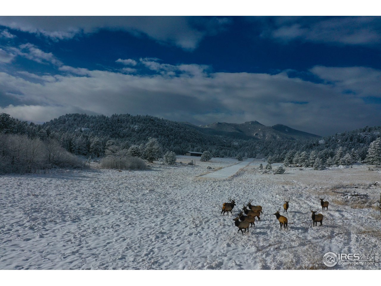 a view of a dry yard