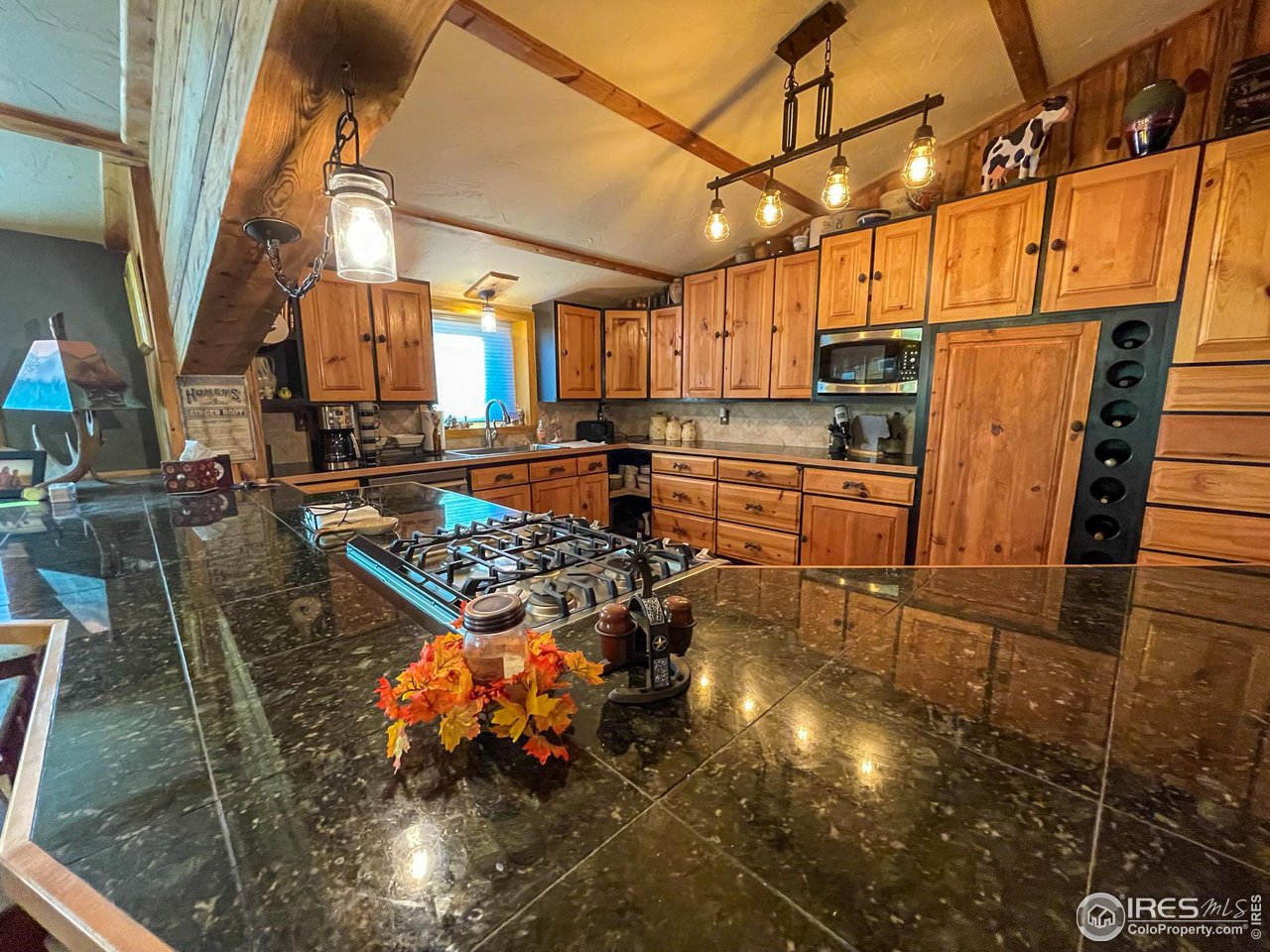 1448 Le Cook Road Allenspark, CO 80510 - Photo 13 of 39 a kitchen with stainless steel appliances granite countertop a stove a refrigerator and a stove