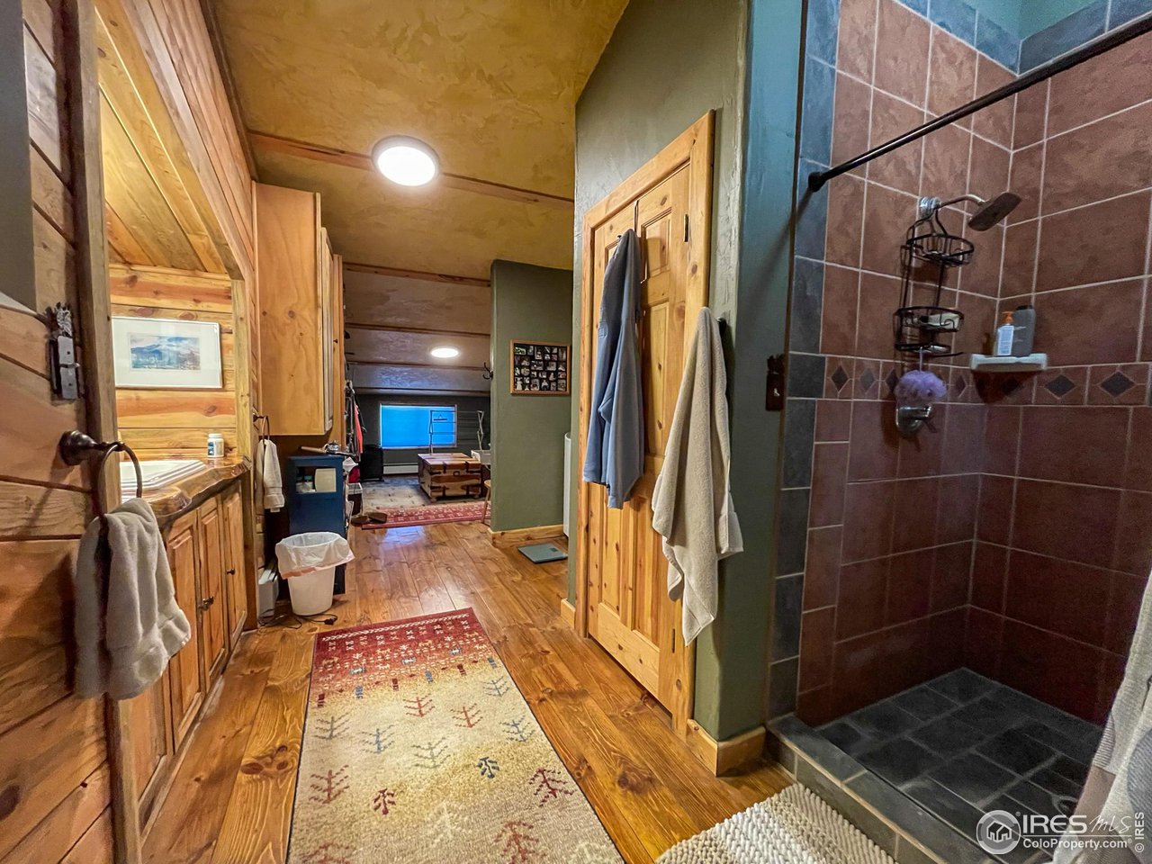 1448 Le Cook Road Allenspark, CO 80510 - Photo 16 of 39 a view of a living room with a couch