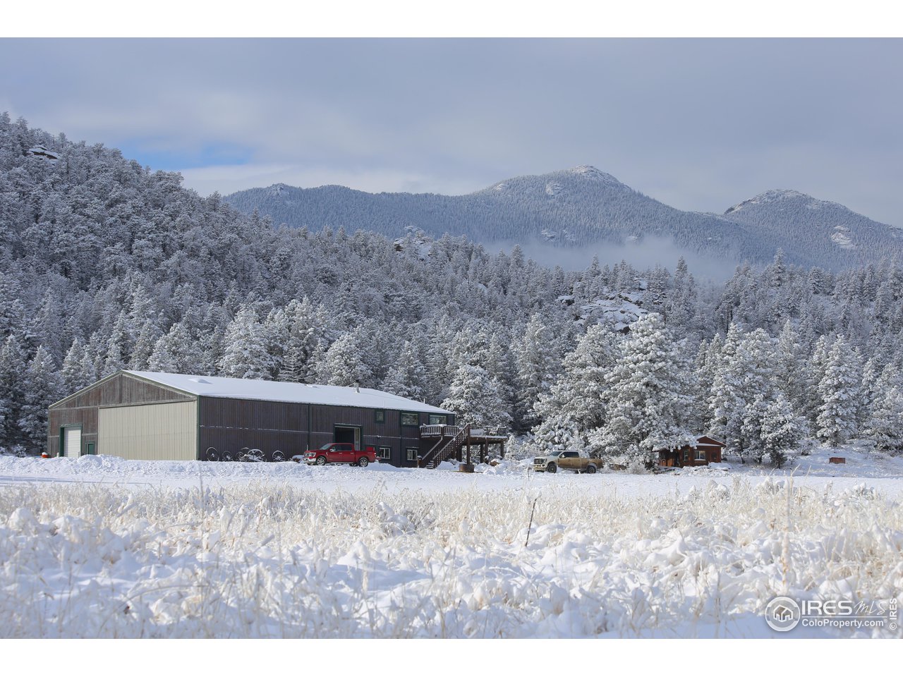 1448 Le Cook Road Allenspark, CO 80510 - Photo 21 of 39 a view of a dry dry field