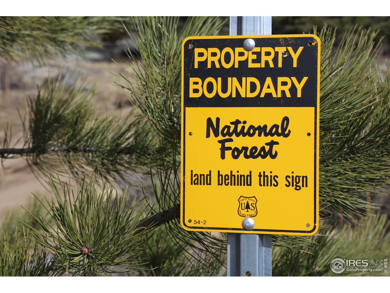 1448 Le Cook Road Allenspark, CO 80510 - Photo 33 of 39 a sign broad on the side of the road