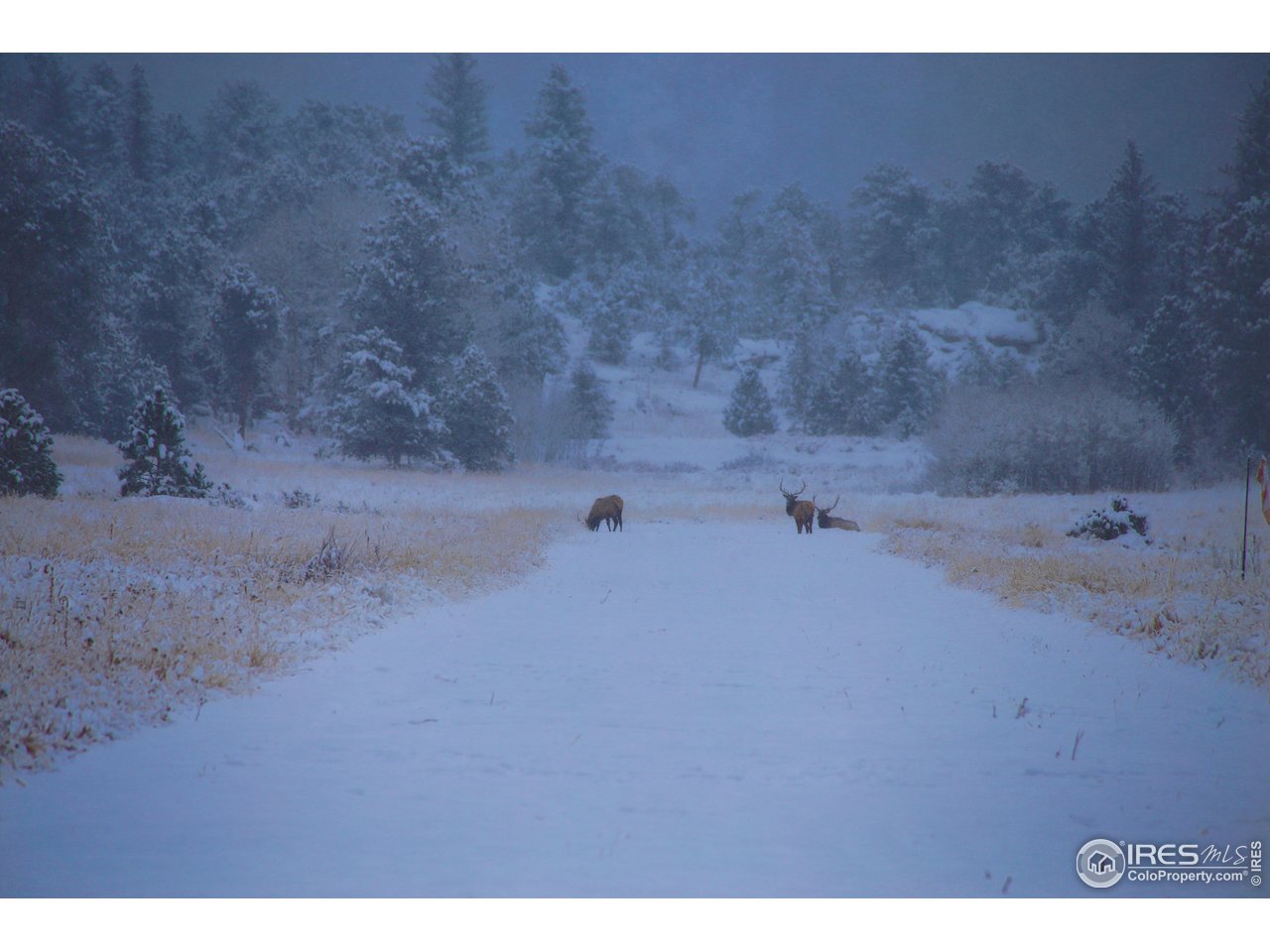1448 Le Cook Road Allenspark, CO 80510 - Photo 37 of 39 a view of a dry room with a bench