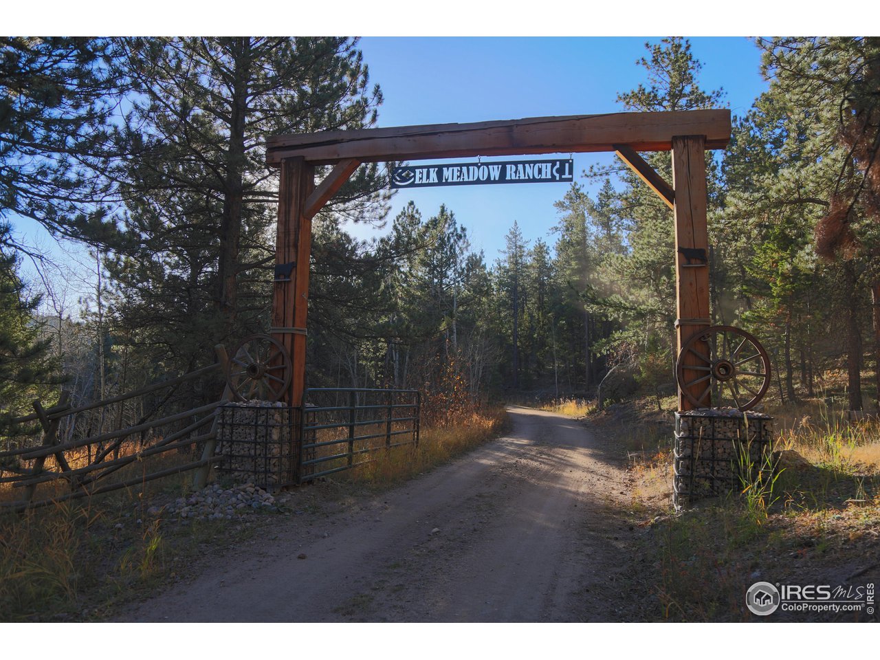 1448 Le Cook Road Allenspark, CO 80510 - Photo 4 of 39