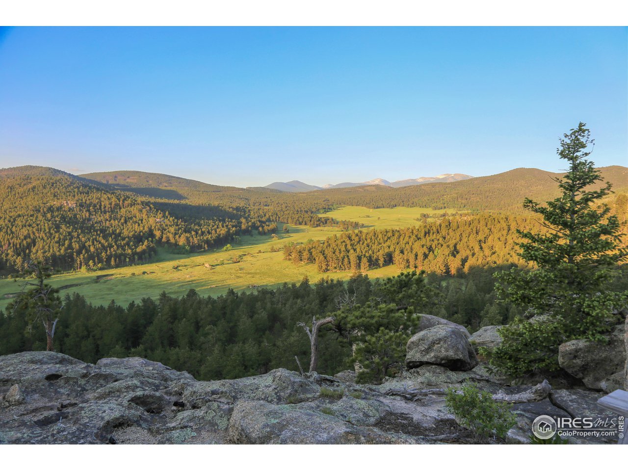 1448 Le Cook Road Allenspark, CO 80510 - Photo 5 of 39 a view of lake and mountain