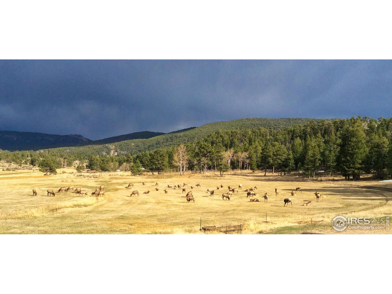 1448 Le Cook Road Allenspark, CO 80510 - Photo 6 of 39 a view of ocean view