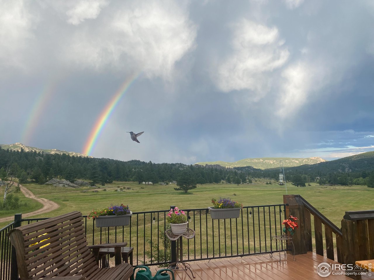 1448 Le Cook Road Allenspark, CO 80510 - Photo 8 of 39 a view of a lake with a city from a balcony