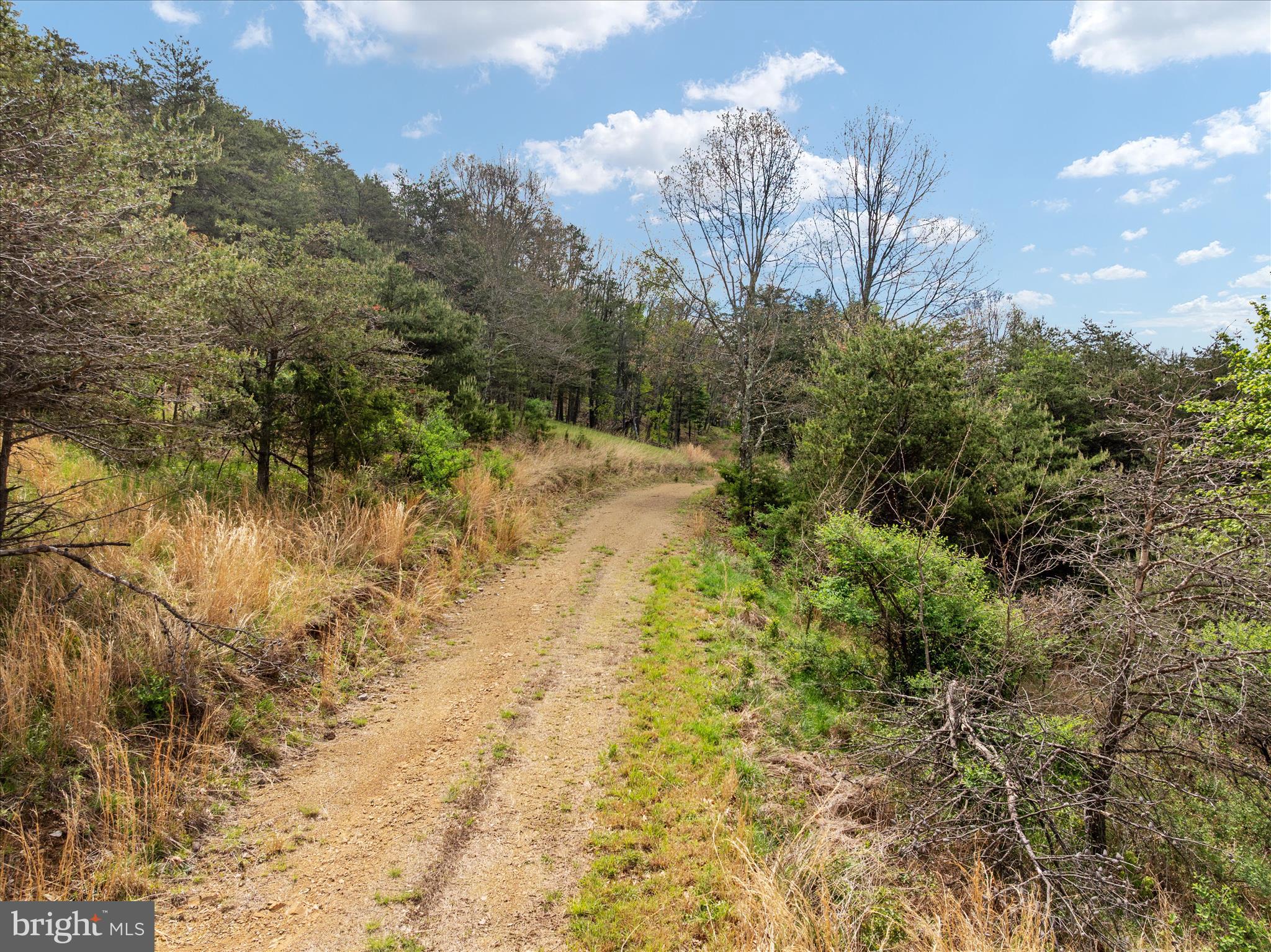 272 Buster Brown Drive Rio, WV 26755 - Photo 100 of 113