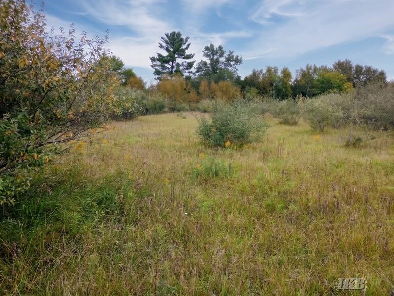 35.11-acres North Hockaday Road Gladwin, MI 48624 - Photo 50 of 83 Gallery Image 50