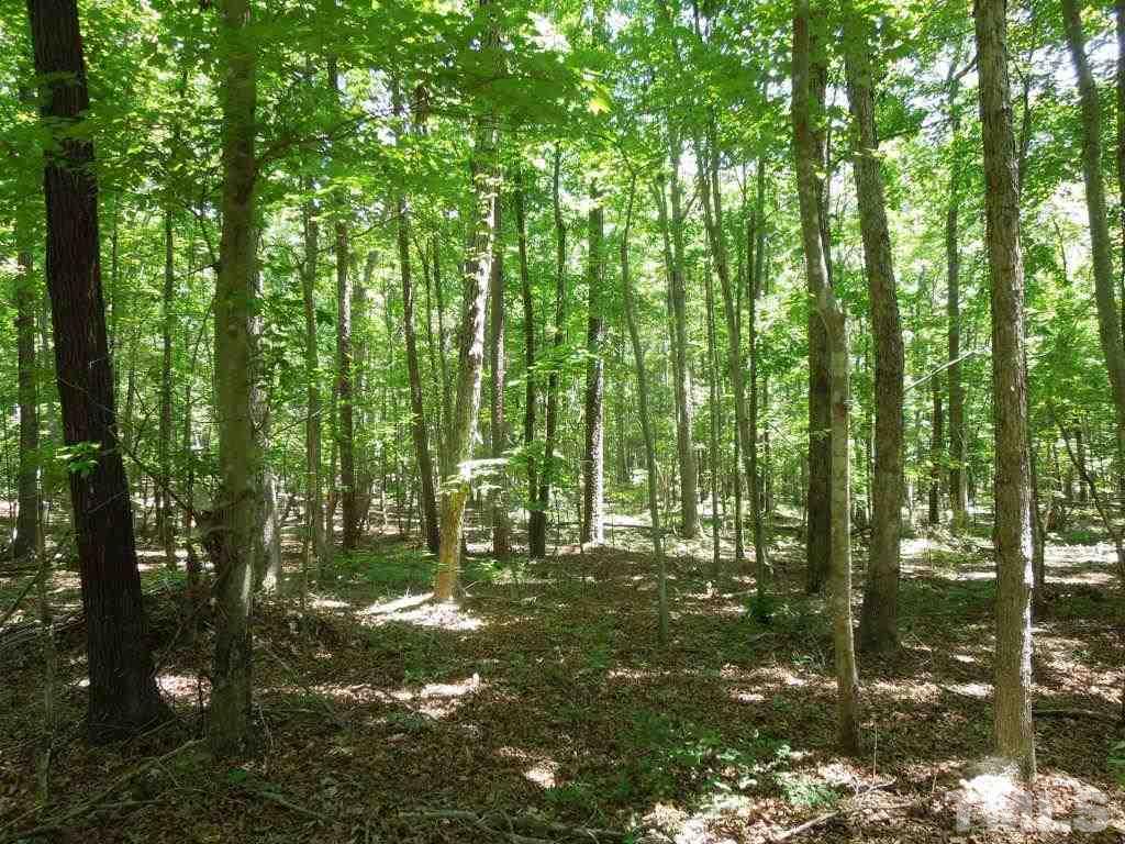 Tbd Mt Harmony Church Road Rougemont, NC 27572 - Photo 1 of 21