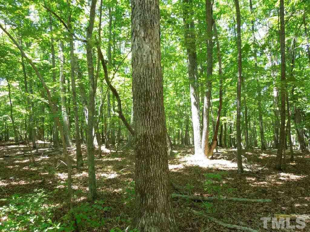 Tbd Mt Harmony Church Road Rougemont, NC 27572 - Photo 2 of 21