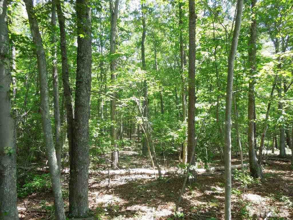 Tbd Mt Harmony Church Road Rougemont, NC 27572 - Photo 14 of 21