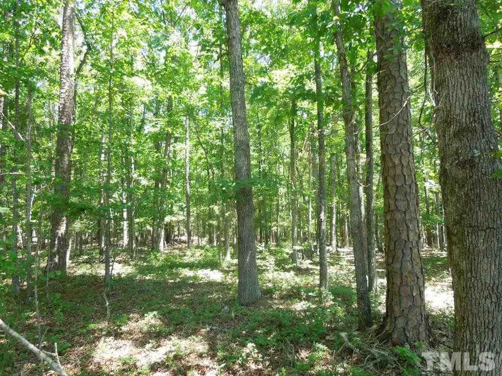 Tbd Mt Harmony Church Road Rougemont, NC 27572 - Photo 16 of 21