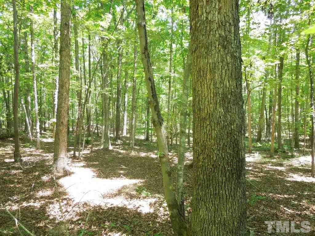 Tbd Mt Harmony Church Road Rougemont, NC 27572 - Photo 20 of 21