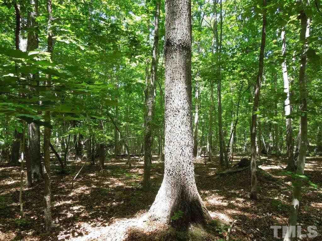 Tbd Mt Harmony Church Road Rougemont, NC 27572 - Photo 3 of 21