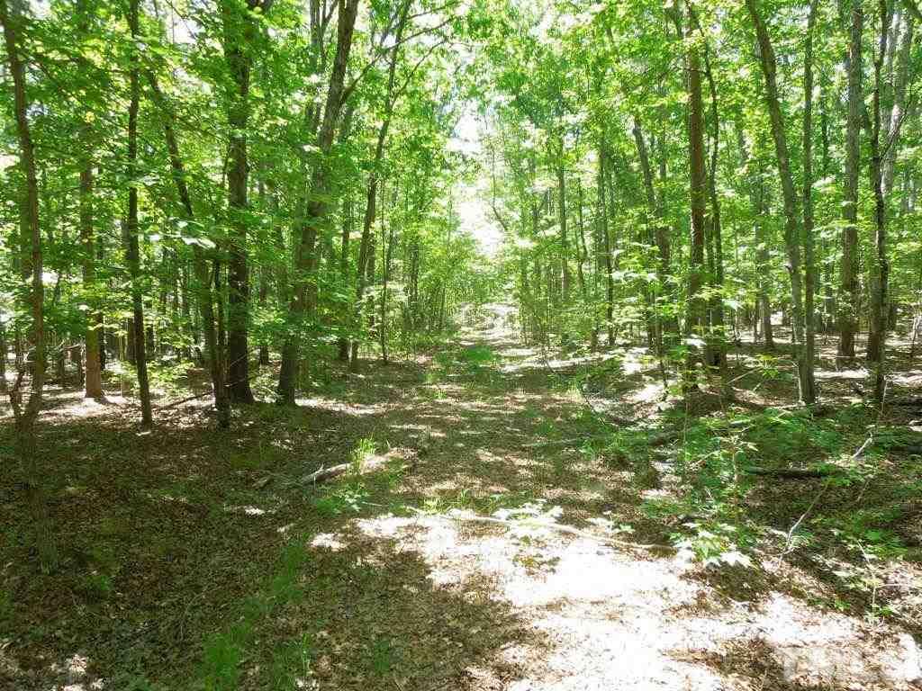 Tbd Mt Harmony Church Road Rougemont, NC 27572 - Photo 5 of 21