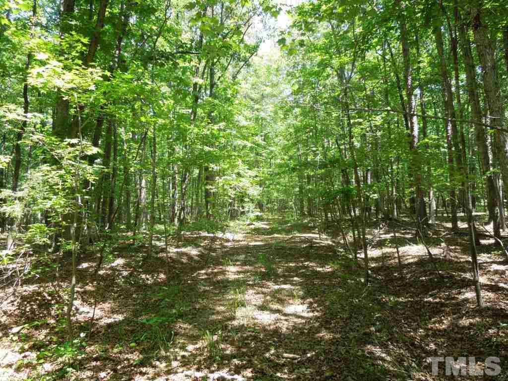Tbd Mt Harmony Church Road Rougemont, NC 27572 - Photo 6 of 21