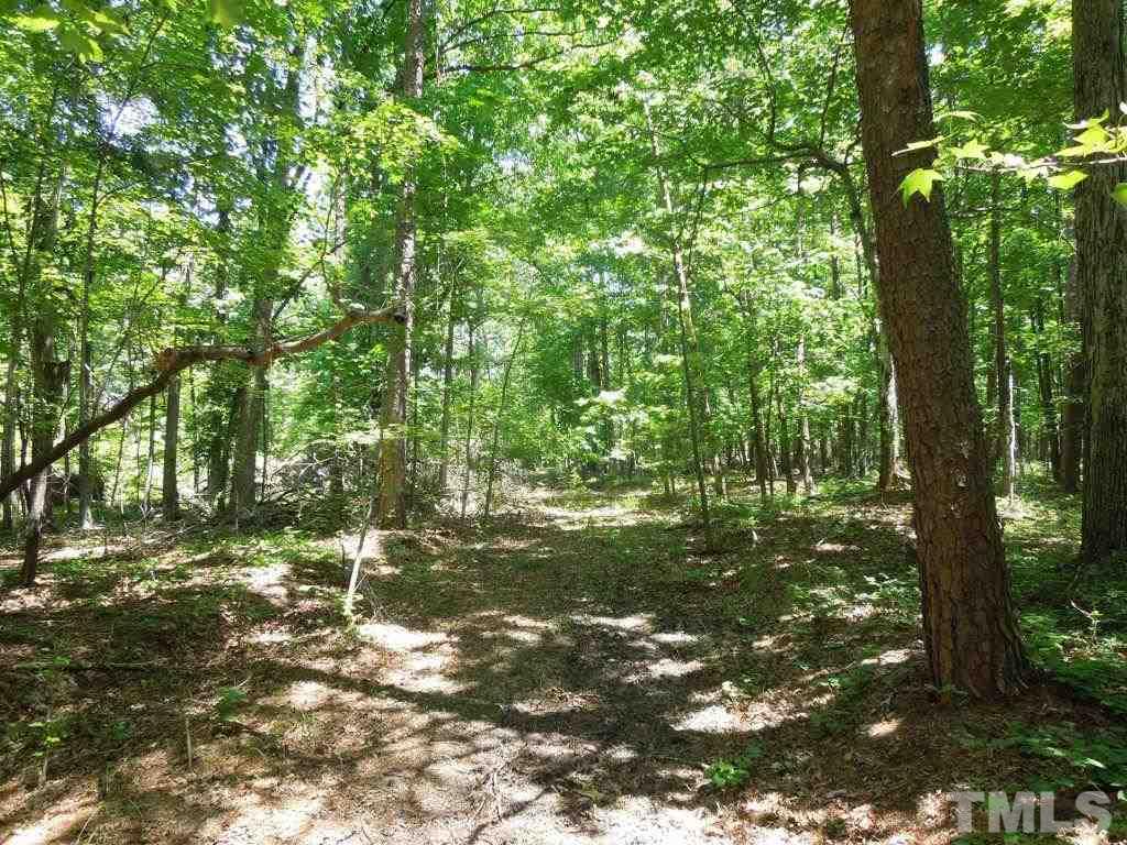 Tbd Mt Harmony Church Road Rougemont, NC 27572 - Photo 10 of 21