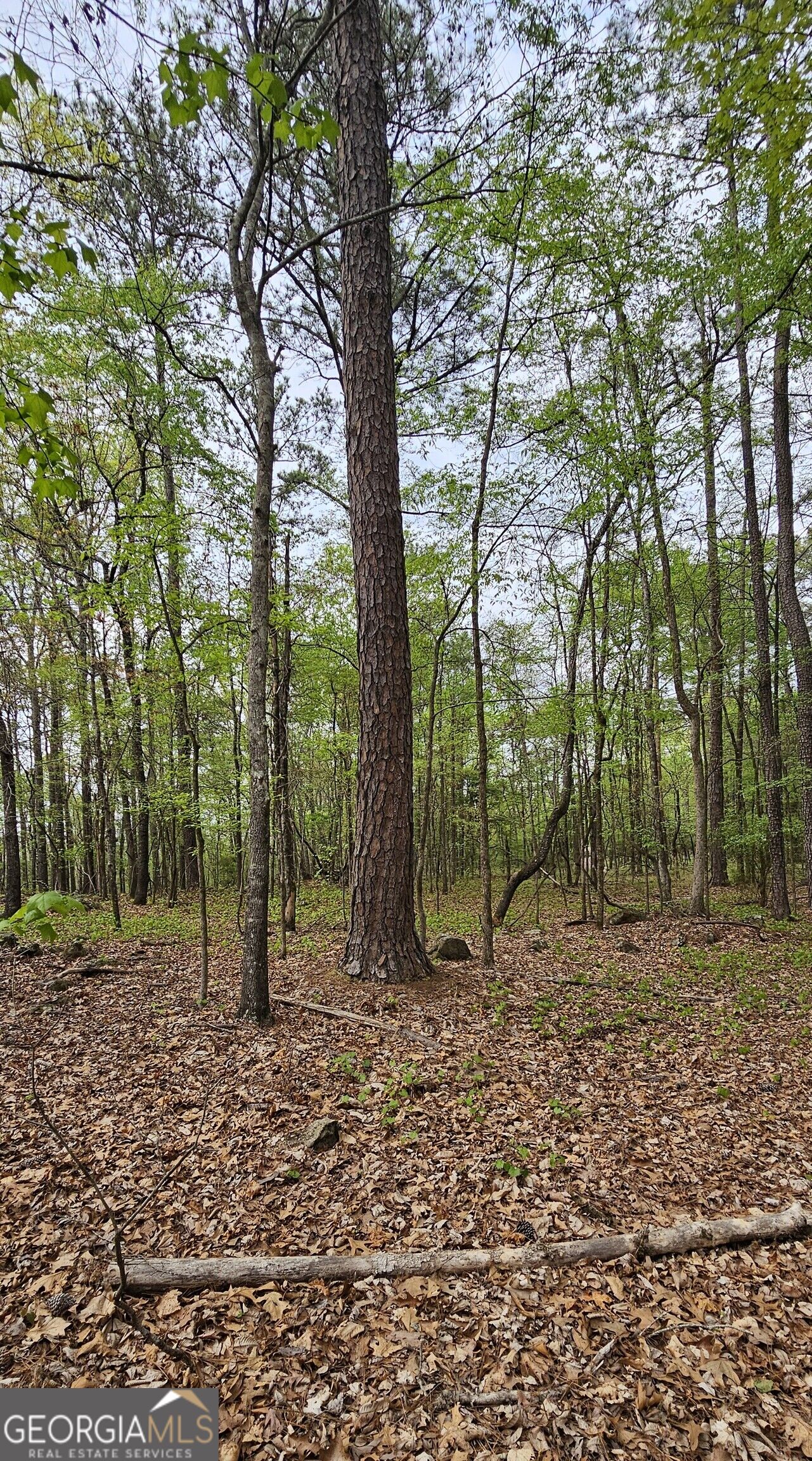 1050 Smith Road Fortson, GA 31808 - Photo 10 of 12 Gallery Image 10