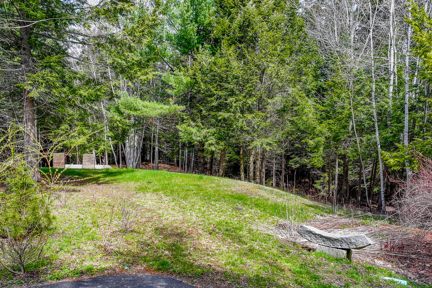 291 Molyneaux Road Camden, ME 04843 - Photo 4 of 54 291 Molyneux Rd 01 (1)