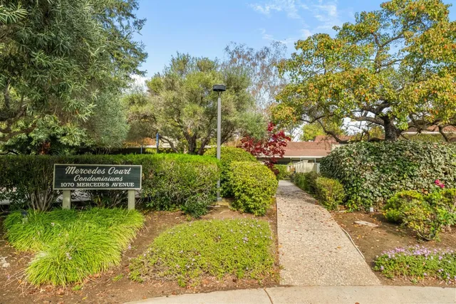 a view of a garden with pathway