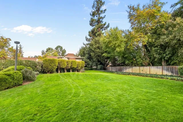 a view of a backyard