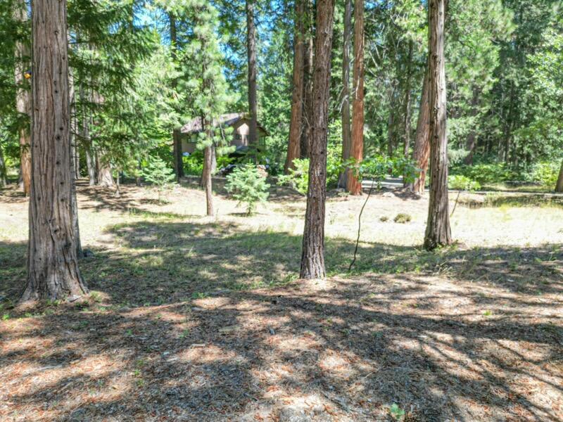 0 Timber Hills Road Mount Shasta, CA 96067 - Photo 3 of 6 View of property east