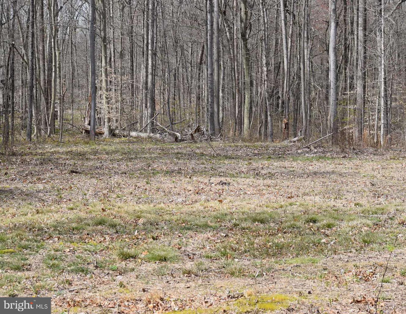 355 Massey Church Road Smyrna, DE 19977 - Photo 2 of 6 Cleared area