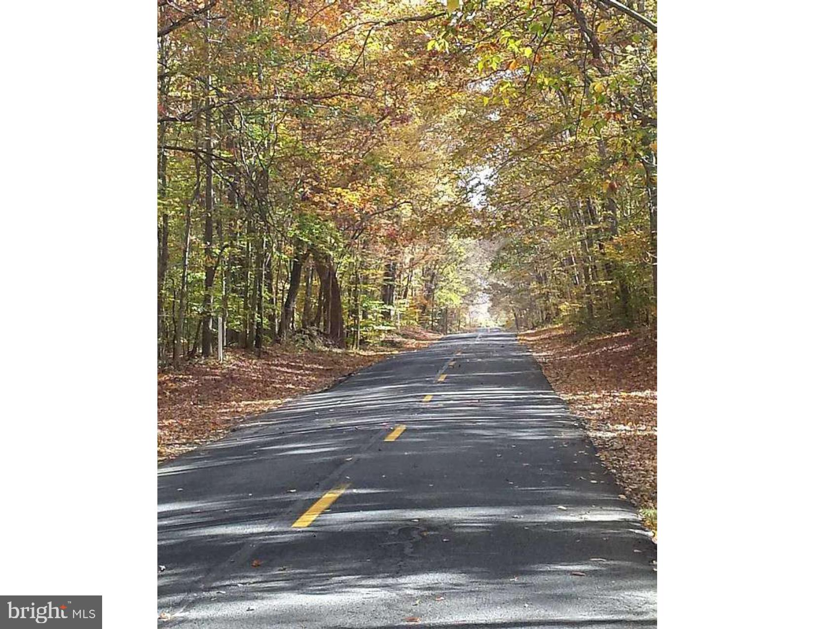 355 Massey Church Road Smyrna, DE 19977 - Photo 6 of 6 Road to lot