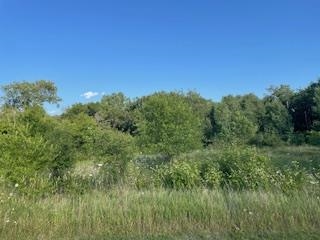 Lot 37 Lucille Merrimac, WI 53561 - Photo 4 of 10