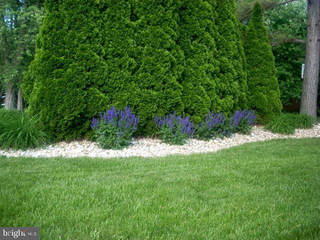 705 Chambers Road York, PA 17402 - Photo 10 of 36 Gallery Image 10