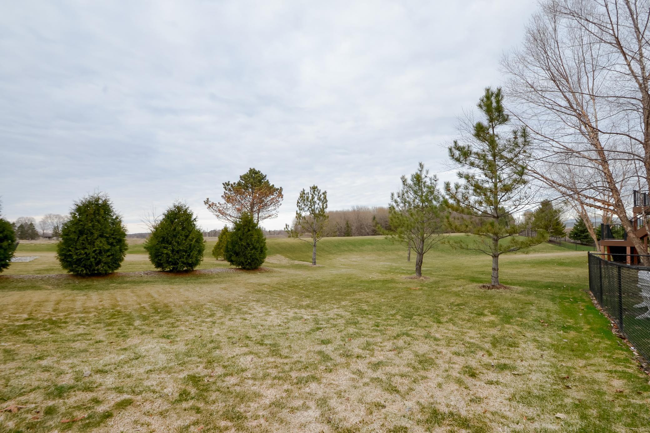 5404 Cinnamon Point Mayer, MN 55360 - Photo 65 of 72