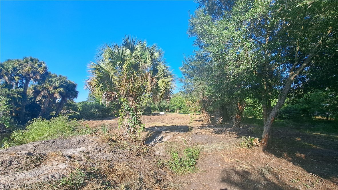 Derby Lane Moore Haven, FL 33471 - Photo 11 of 20 a view of backyard of house with green space