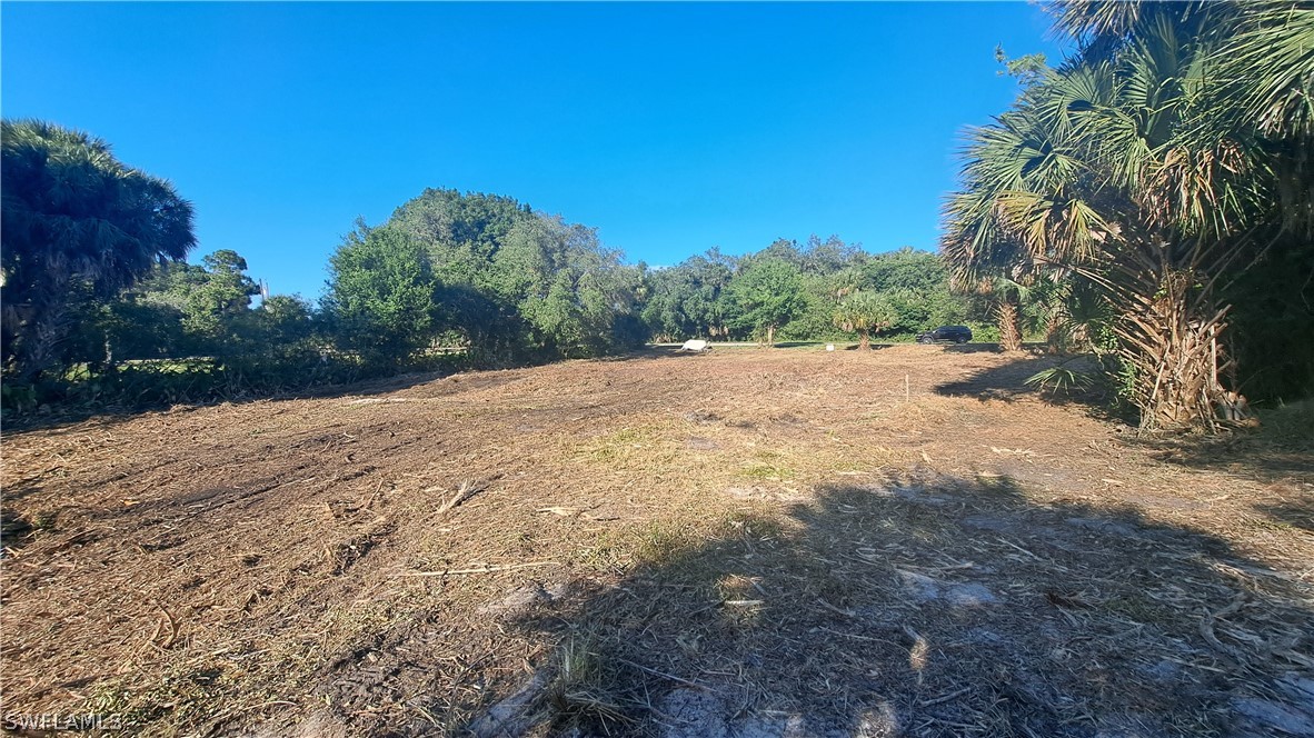 Derby Lane Moore Haven, FL 33471 - Photo 3 of 20 a view of a road with a trees