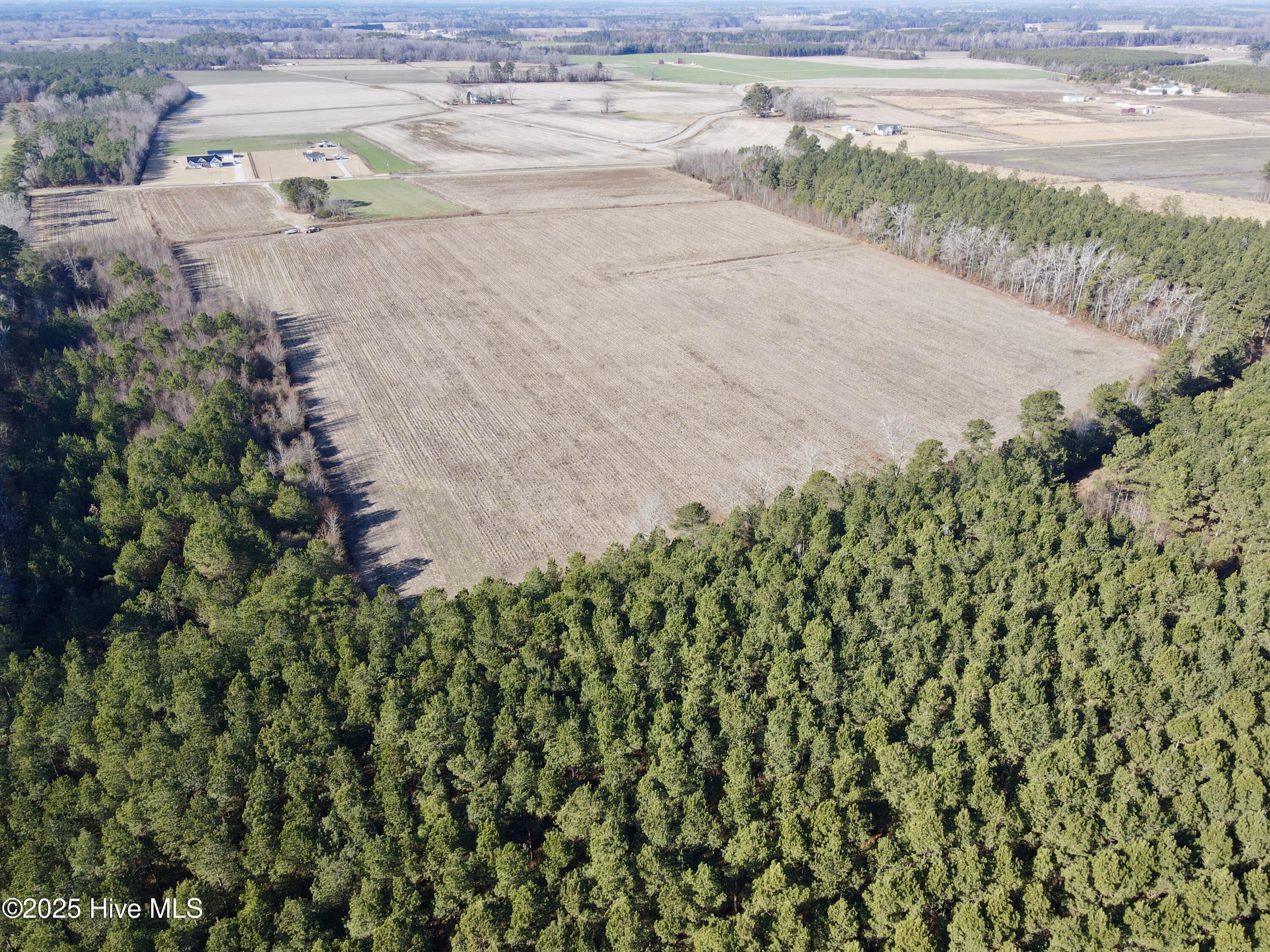 2 Oakley Road Stokes, NC 27884 - Photo 12 of 15 Back aerial view