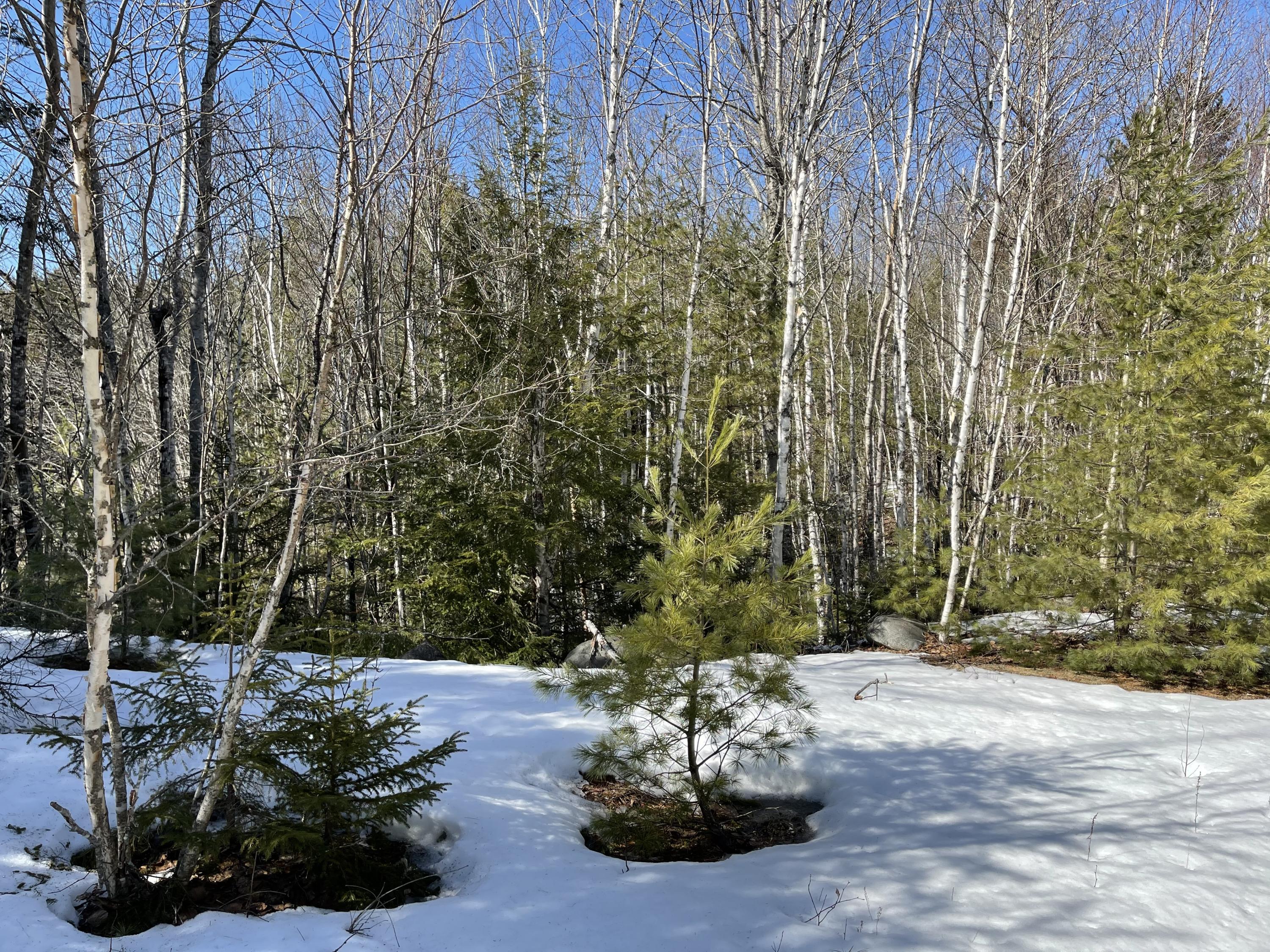 63-64 Kettle Ridge Northfield, ME 04654 - Photo 12 of 19 IMG-0797
