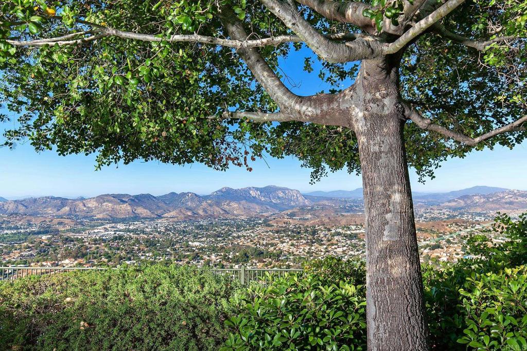7231 Ocotillo Street Santee, CA 92071 - Photo 46 of 59 a view of a tree in a garden