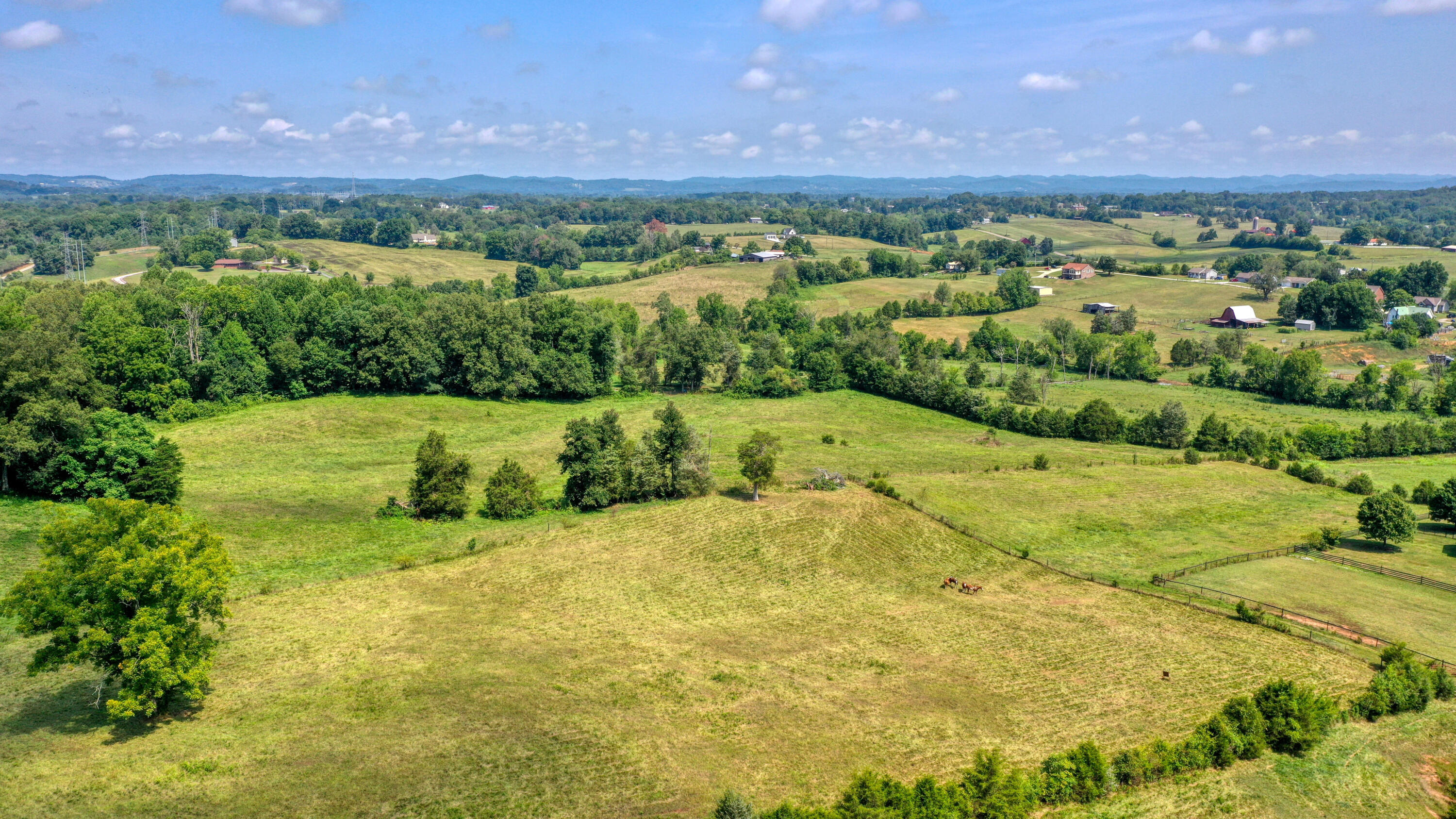 4107 Roberts Road Corryton, TN 37721 - Photo 39 of 41 4107 Roberts