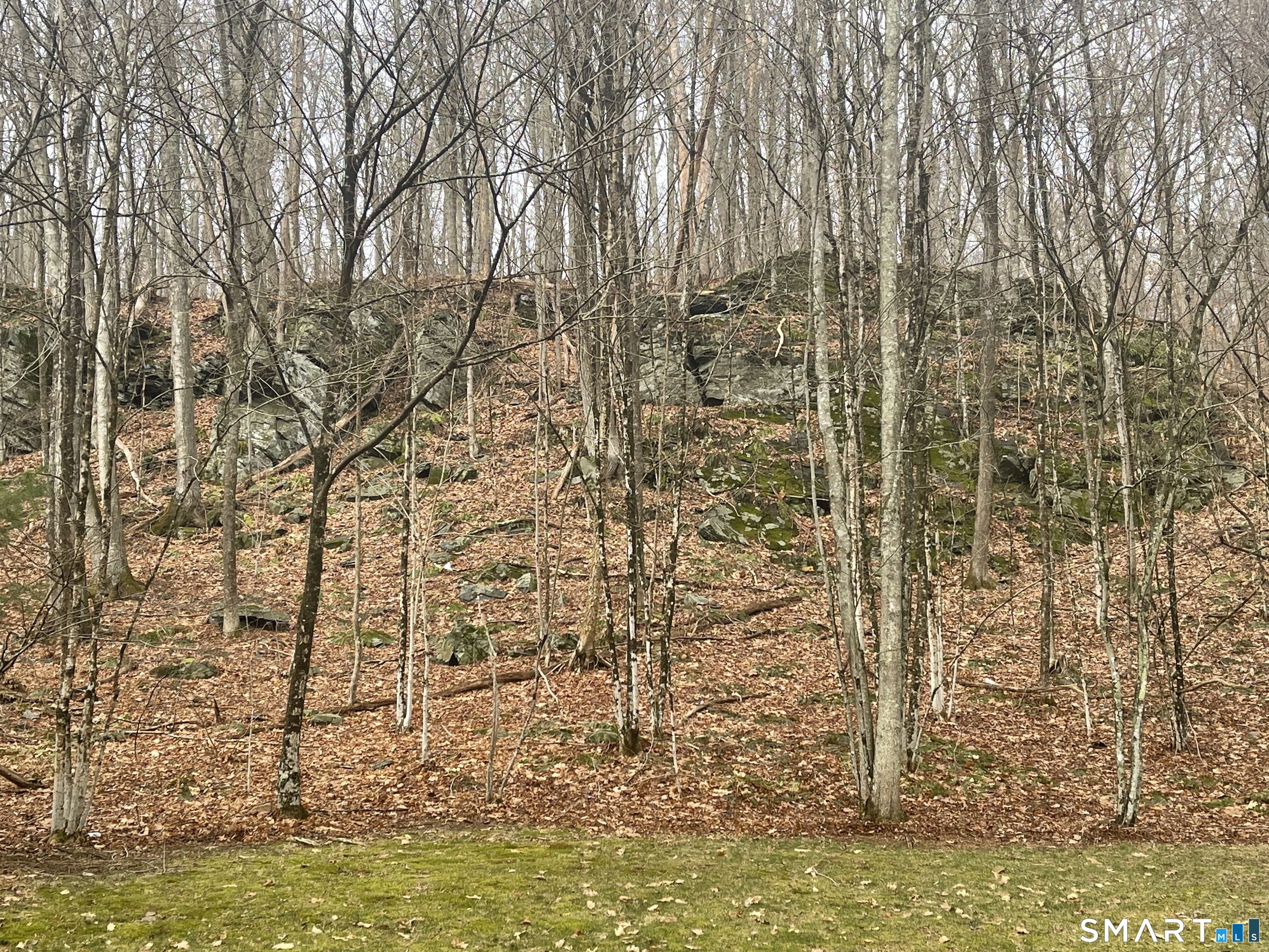 365 Canterbury Road Brooklyn, CT 06234 - Photo 7 of 8