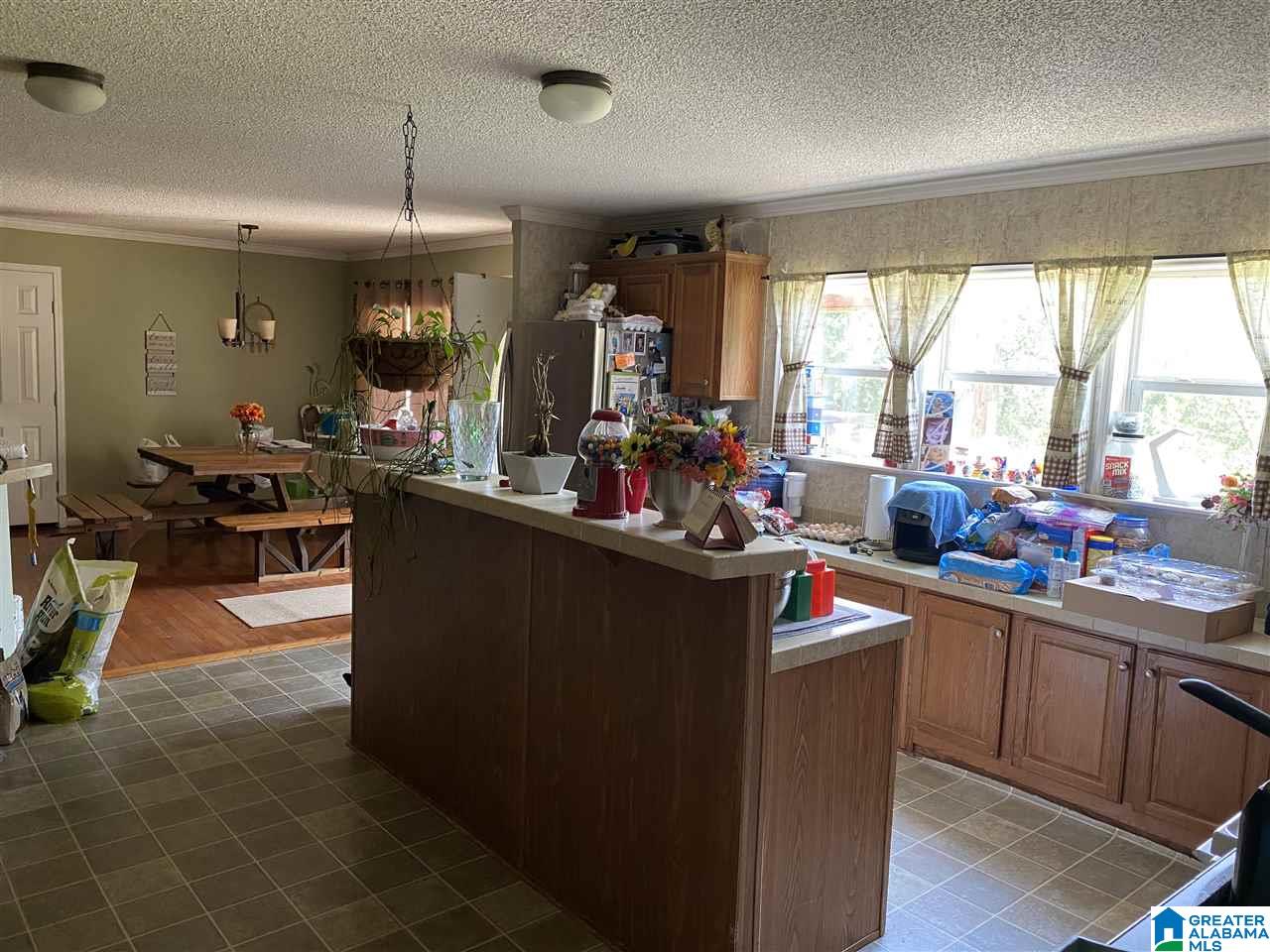 2825 Odena Road North Sylacauga, AL 35150 - Photo 5 of 17
