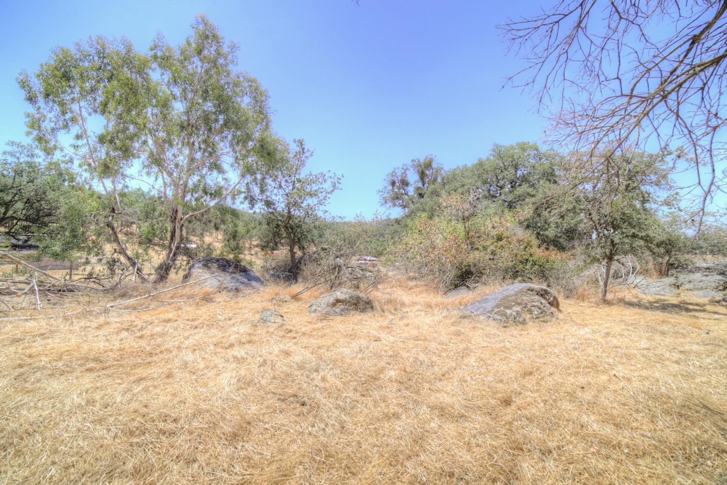 35937 Ruth Hill Road Squaw Valley, CA 93675 - Photo 21 of 27 Gallery Image 21