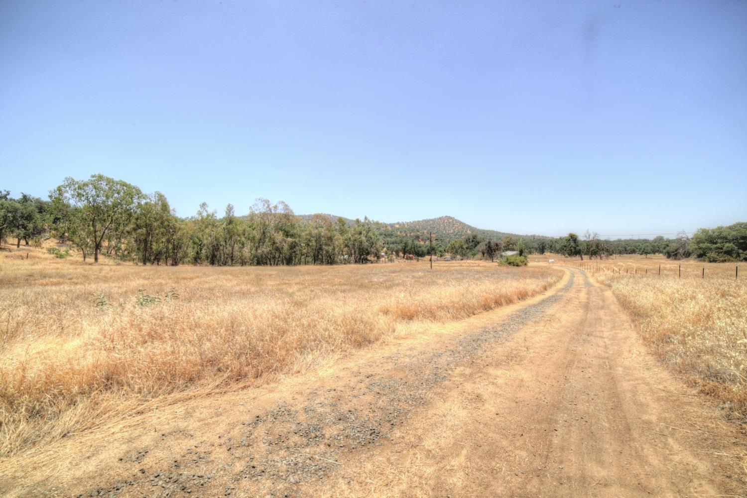 35937 Ruth Hill Road Squaw Valley, CA 93675 - Photo 22 of 27 Gallery Image 22