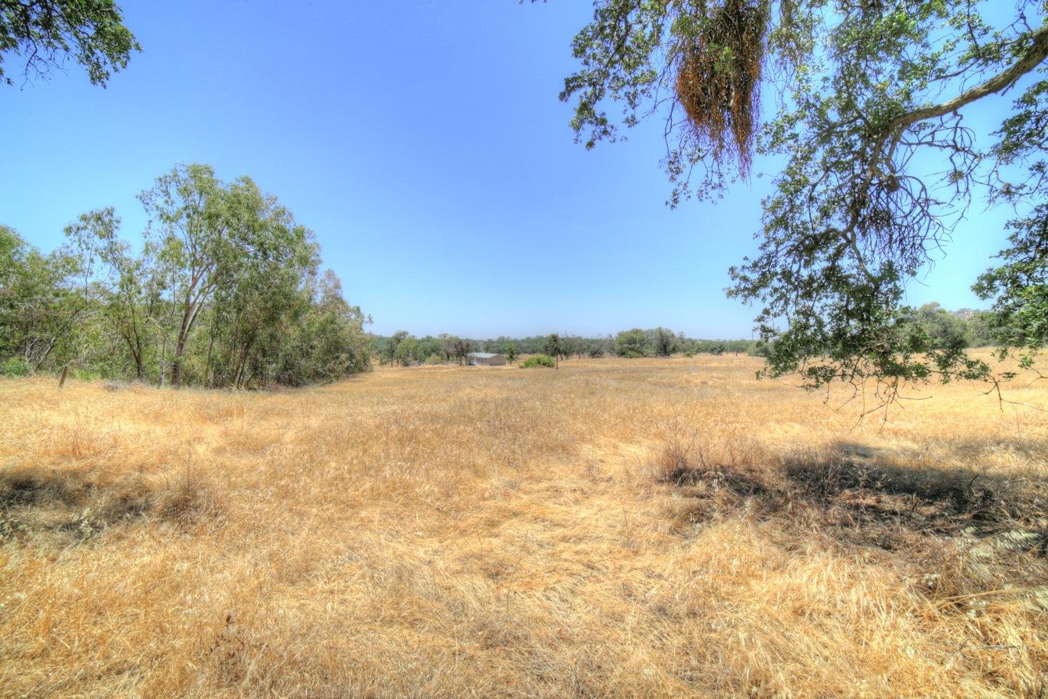 35937 Ruth Hill Road Squaw Valley, CA 93675 - Photo 23 of 27 Gallery Image 23