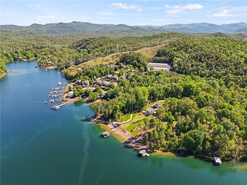 Lot 2 Johnson Drive Sunset, SC 29685 - Photo 12 of 22