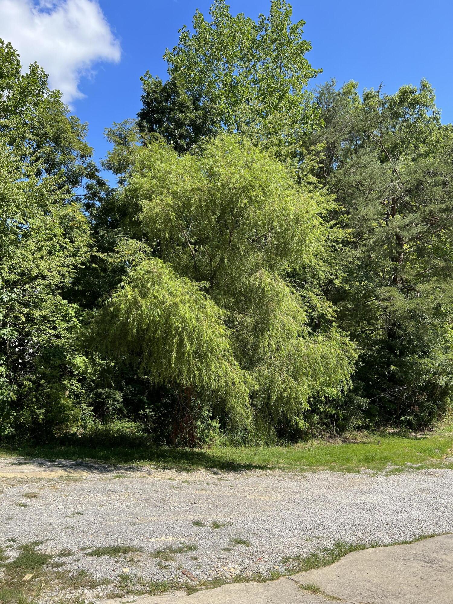 392 Mason Lake Road Berea, KY 40403 - Photo 36 of 42 1D2B1D96-8806-44D2-AB0D-574F36570FE7