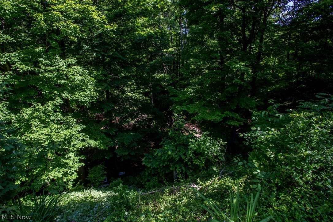 8107 Stone Road Independence, OH 44131 - Photo 27 of 29 Wooded 1.25 acre lot adjoining National Park