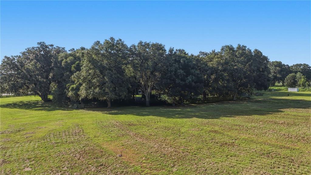16250 Southwest 20th Avenue Road Ocala, FL 34473 - Photo 65 of 75